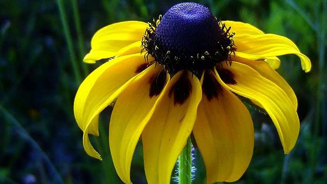 Слушать самую свежую песню и видео 2015 - смотреть бесп... смотреть онлайн