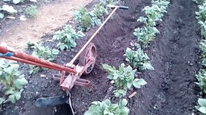 Ручной окучник СССР