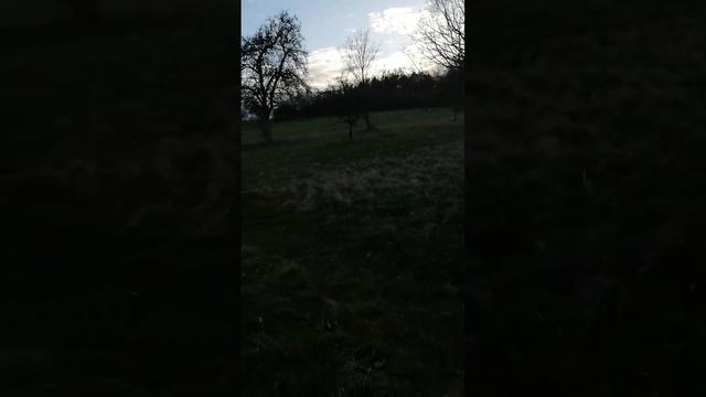 В Цветение Жизнь,Что Начало ЕСТЬ, Где Новый Шаг на новой Тверди Есть, Где Жизнь В Наш, и Наши Живит смотреть онлайн