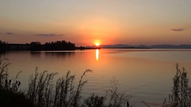 Реальные встречи с русалками (4в1) Выпуск №2. смотреть онлайн