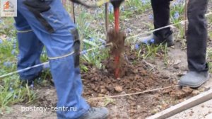 бурение лунок под металлические столбы для забора