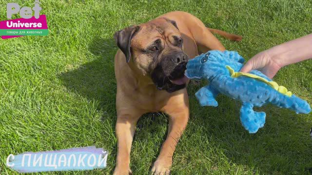 PU2002BE Мягкая игрушка для собак с пищалкой Pet Universe Крокодил, длина 37 см смотреть онлайн