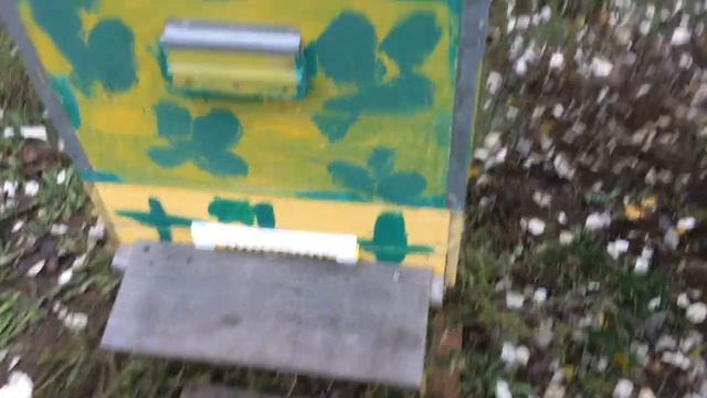 Мыши в улье смотреть онлайн