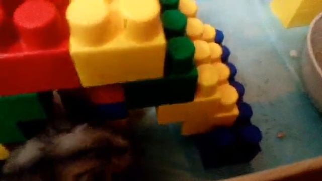 Вот так Максик празднует своё ДР смотреть онлайн