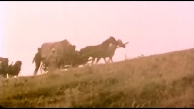 ЦЫГАНСКАЯ ЛЮБОВЬ.Видео, стихи Людмила Бабкина; муз.вокал Любовь Кузнецова; аранжир.Наталья Лесная. смотреть онлайн