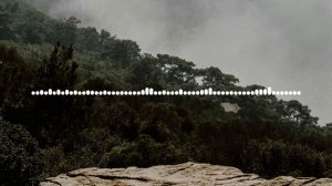 Медляк - Даргинская 2024