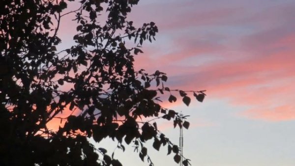 ПРИЯТНЫЕ ВОСПОМИНАНИЯ,ФУТАЖ БЕСПЛАТНО.https://play.google.com/store/apps/details?id=com.easybrain.m