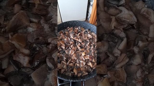 Лесные грибы жареные!!! смотреть онлайн