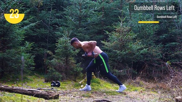 15 Minute Dumbbell Biceps & Back Routine (Follow Along) смотреть онлайн
