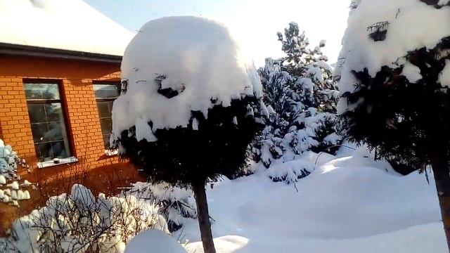 Мороз и солнце день чудесный! 15.01.2021 смотреть онлайн