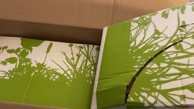 Что буду сажать в этом году?обзор семян,почему так дорого?по-мелочам не получилось,что купила на132 смотреть онлайн