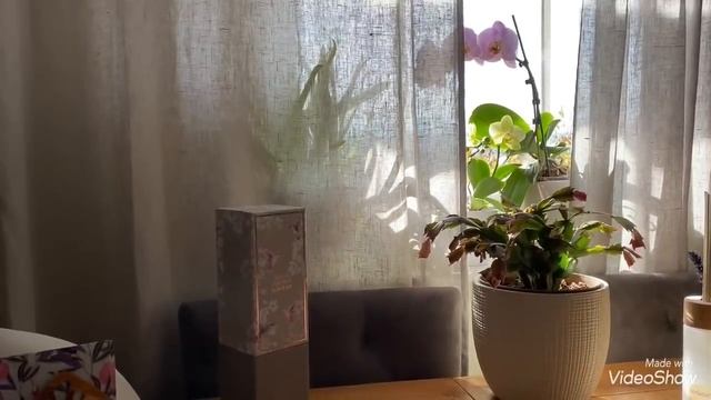 Всё по прежнему лечусь /Будет второй тест на ковид ? Ответы на вопрос/Olga Kirchgessner смотреть онлайн