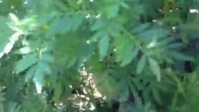 Дача в Горячем Ключе смотреть онлайн