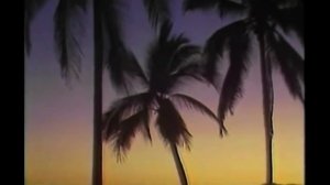 Quixotic - Palms (Official Music Video) (720p).mp4