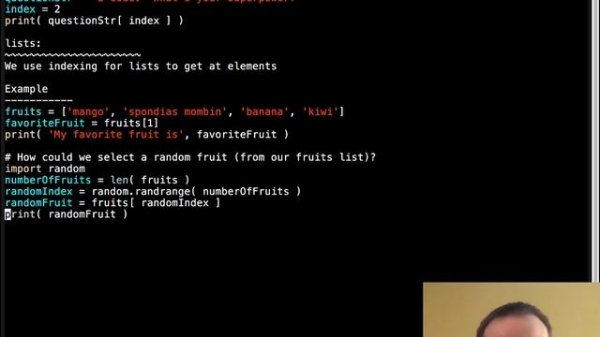 Accessing List Elements