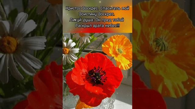 Христос Воскрес! Воистину Воскрес! С праздником вас, дорогие друзья! смотреть онлайн