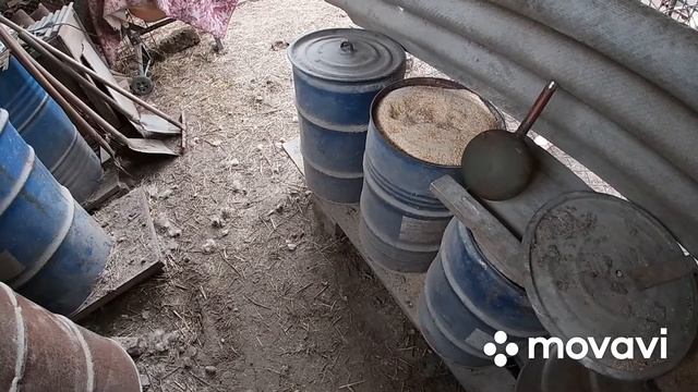 Комбикорм для свиней.Использую для откорма и свиноматок. смотреть онлайн