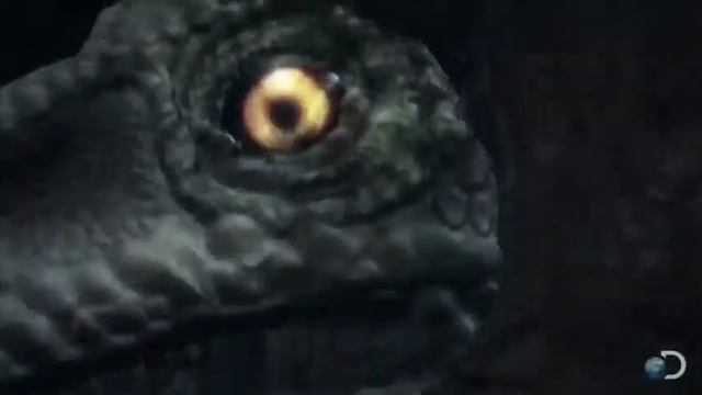 ЭВОЛЮЦИОННАЯ ТЕОРИЯ HD смотреть онлайн