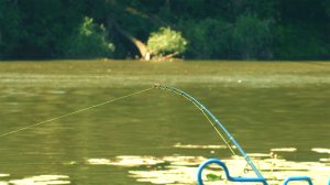 Ловля на пикер на реке в заводи кувшинок