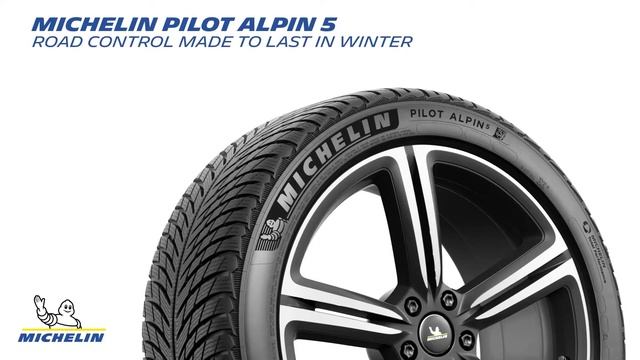 Michelin Pilot Alpin 5