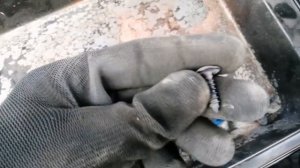 Ниссан Кашкай J11: КАК СНЯТЬ ПЕРЕДНИЙ БАМПЕР? СНИМАЕМ ПЕРЕДНИЙ БАМПЕР, ЧИСТИМ РАДИАТОРЫ, ЗАПРАВЛЯЕМ