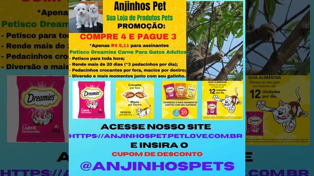 Petisco Dreamies Carne Para Gatos Adultos смотреть онлайн