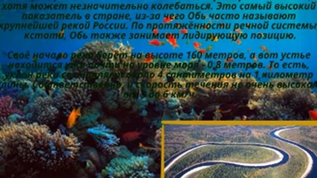 Река Обь смотреть онлайн