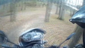 Гусенок за сотен.  Эндуро обзор BMW F650GS