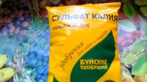 Сульфат калия или Сернокислый калий. Для повышения урожайности и улучшения вкуса плодов.