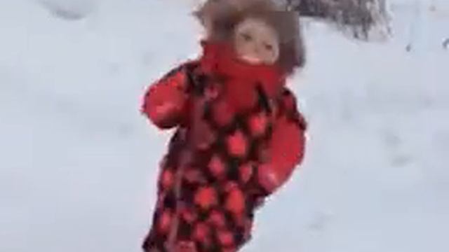 Самый сильный кот