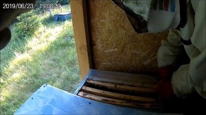 Пчеловодство.Шестирамочный улей- благо.