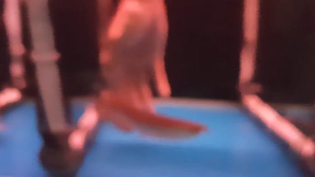 Lelang arwana super red size 12-14cm minus bibir maju dikit (2) смотреть онлайн