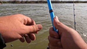 Рыбалка в Астрахани с женой!. Камызяк - Ревин Хутор. Г.Д. Рио. 2023 Осень. Лучшая РЫБАЛКА!