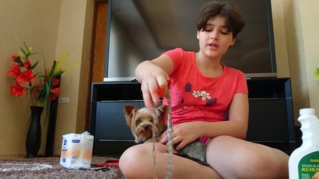 Что есть у моей собаки смотреть онлайн