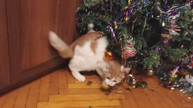 Новогодние игрища кота Пурша.