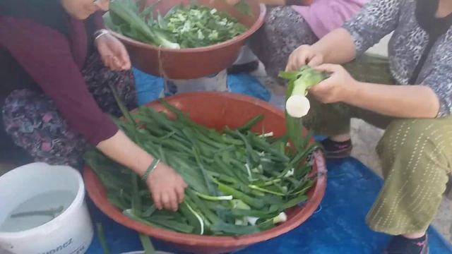 Заготовка лука порея на зиму турецкими хозяйками. 18.05.2022.Орду. Турция.Карадэниз. смотреть онлайн