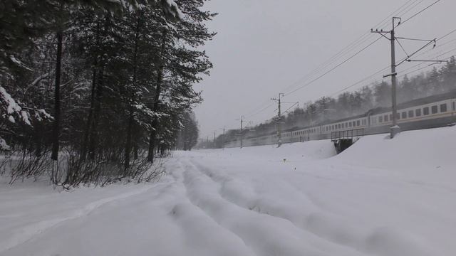 Киевское направление, Железная дорога, Москва, Зима, 2019, РЖД смотреть онлайн