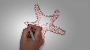 Морские обитатели ЗВЕЗДА. Как нарисовать морских обитателей