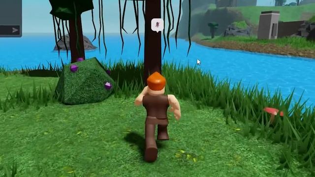 The Survival Game.. ?