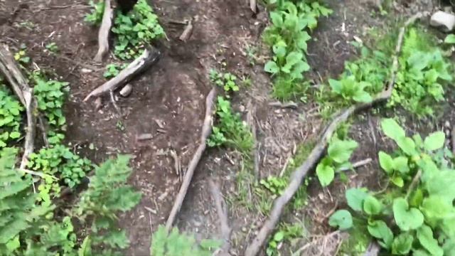 ТИБЕРКУЛЬ | спуск к озеру | серия первая