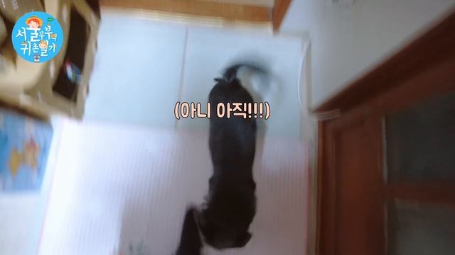 도시탈출!! 서울이여 안녕!! /아이들 데리고 야반도주/서울의 마지막 밤(Country Story of City Couple EP.569) смотреть онлайн