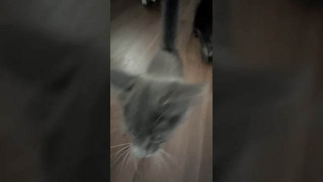 А еда где? смотреть онлайн