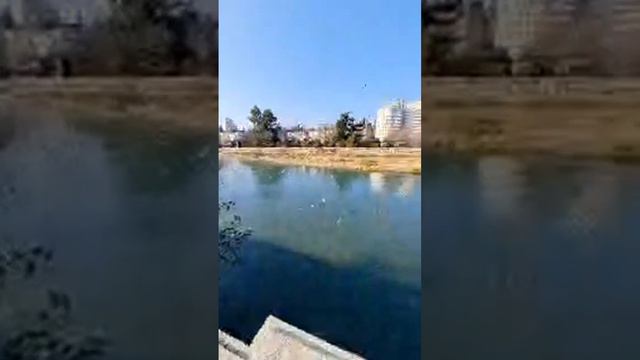 Прогулка в обед вдоль реки Сочи смотреть онлайн