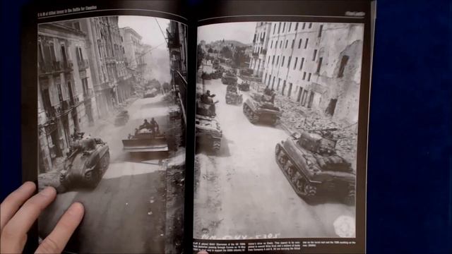 Camo & Markings of Allied Armor in the Battle for Cassino by Jeffrey Plowman смотреть онлайн