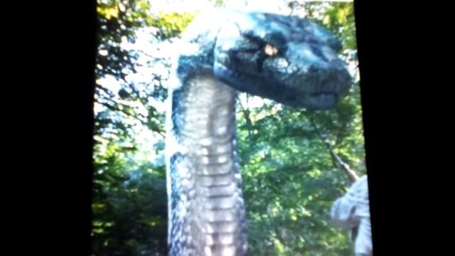 Seth MacFarlane As Boa And Jim Cummings As Python смотреть онлайн
