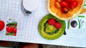 ?Честный обзор томатов от агрофирмы Партнер?:Викуся, Черная богиня, Котя