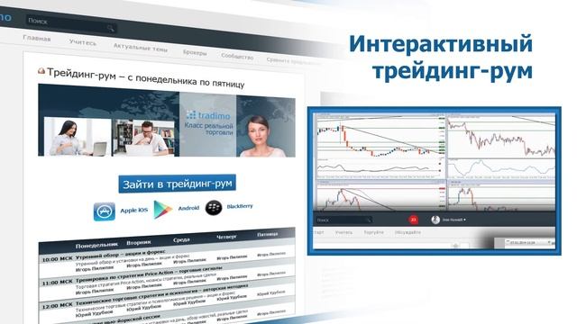 tradimo - ваша бесплатная онлайн-школа трейдинга смотреть онлайн