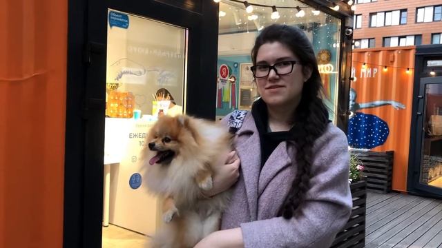 «Есть такая профессия» ГРУМЕР ❤️??Салон красоты и чистоты для питомцев #Doggo❤️Санкт-Петербург! смотреть онлайн