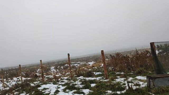 три часа дня 10 11 2023 года смотрим в огороде точек смотреть онлайн