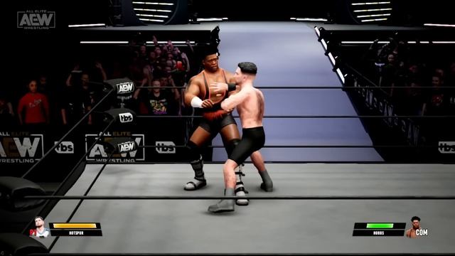 AEW Fight Forever Nintendo Switch Review